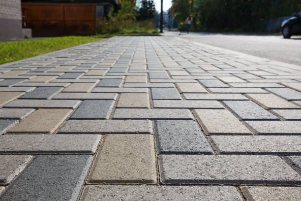 Best Driveway Paving Contractor  in Burnsville, MN